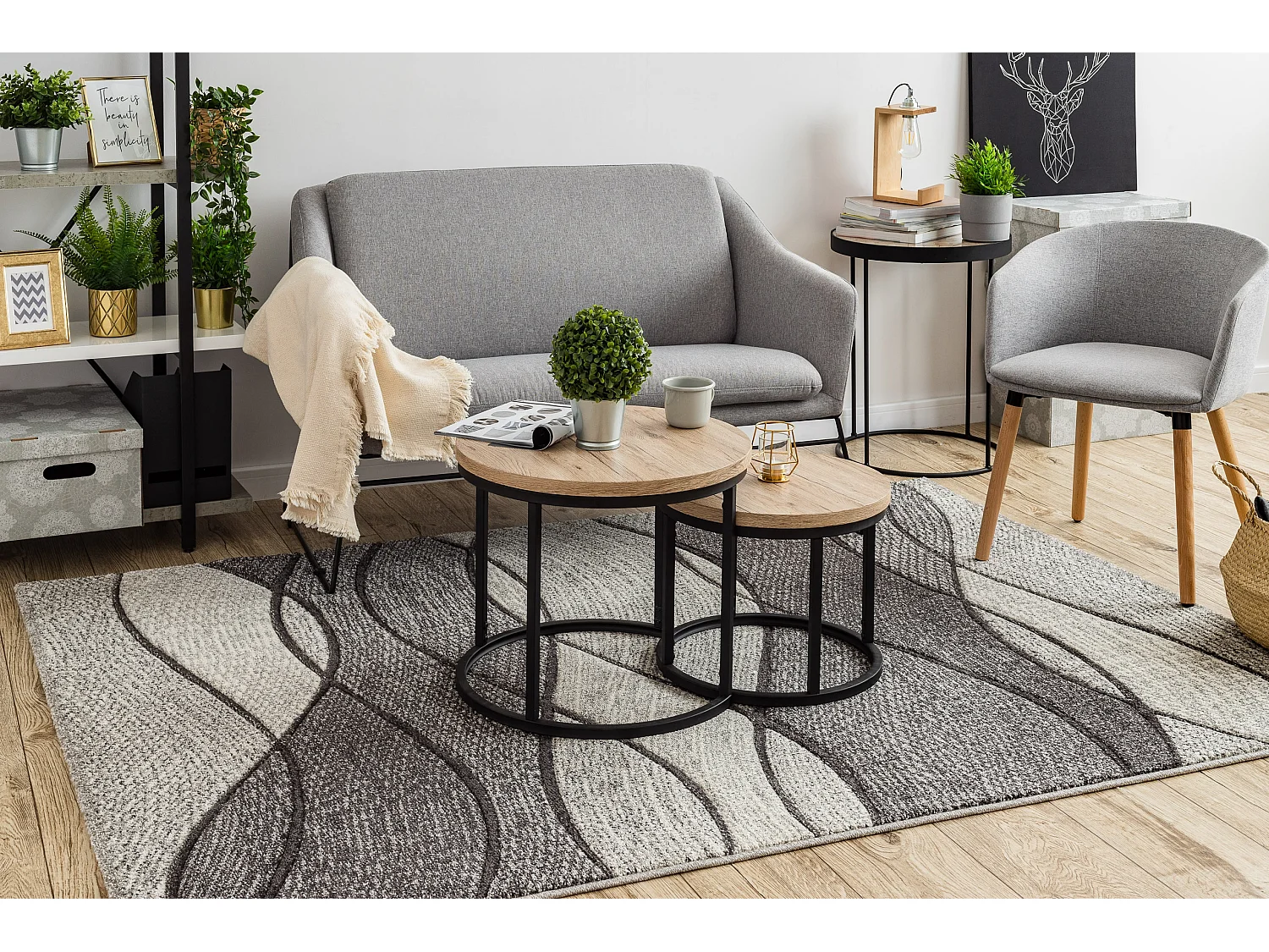 Dywan FEEL 5675/16811 FALE szary / antracyt / krem 80x150 cm