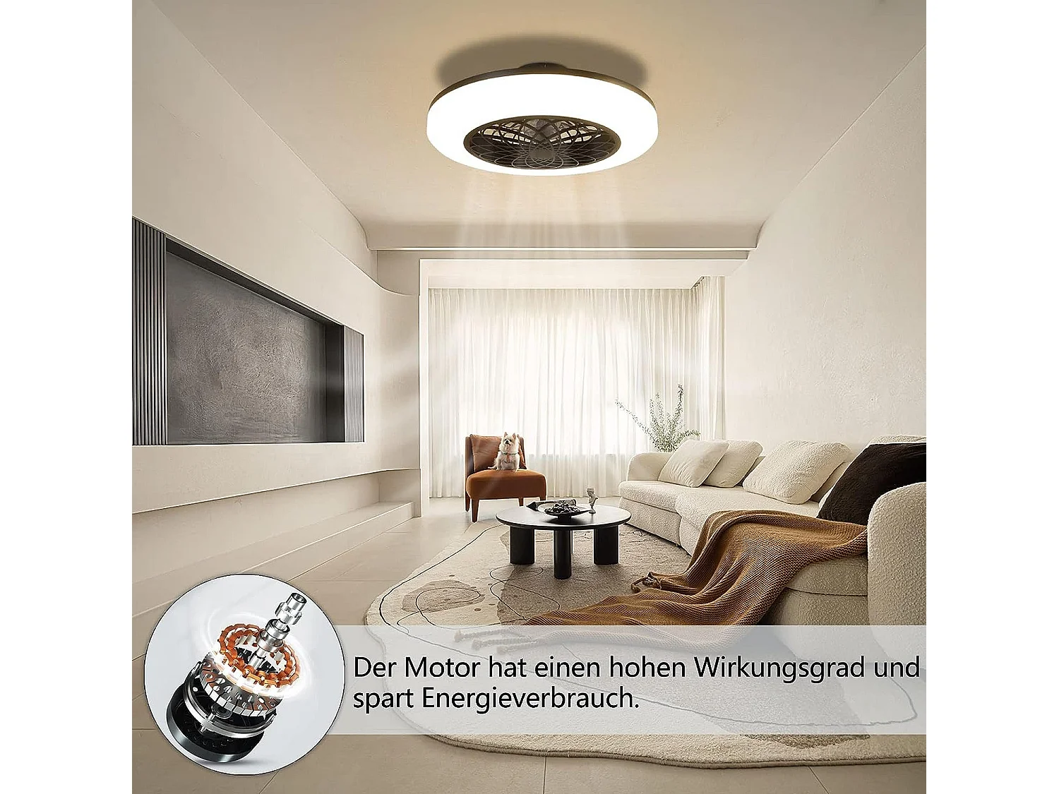 NETTLIFE Ventilateur de plafond LED avec éclairage - 49,5cm Moderne, grand & silencieux, télécommande, minuterie, 3000K-6000K dimmable