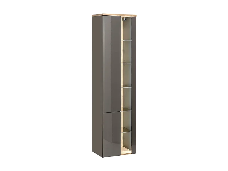 Armoire Haute BAHAMA HC45 2D 45x33x170 Graphite