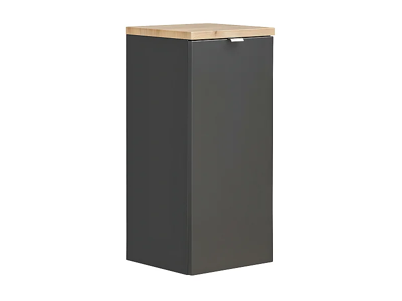 Armários Laterais CAPRI SCAB35 1D 35x35x80 Preto