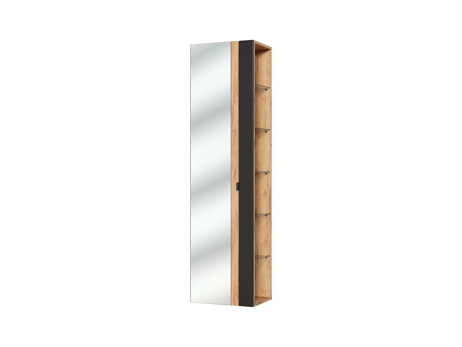 Hoge Kast CAPRI HC45 1D 45x33x170 Zwart