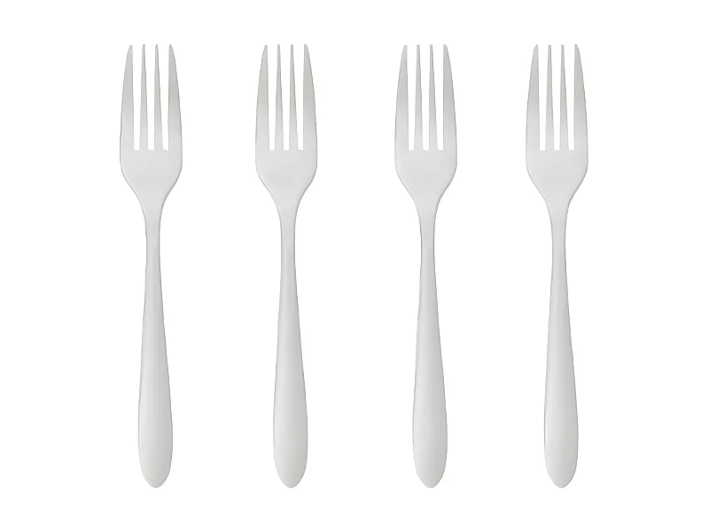 Lot de 4 Fourchettes Inox "Nevis" 19cm Argent