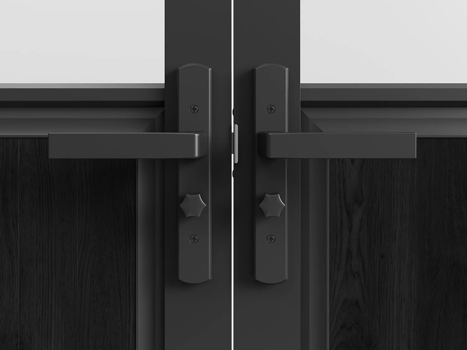 Tür-Set - zwei Flügel - wendbar - Aluminium & Sicherheitsglas mattiert - Industrial Style - 2 x 204 x 73 cm - Schwarz - ERMELO