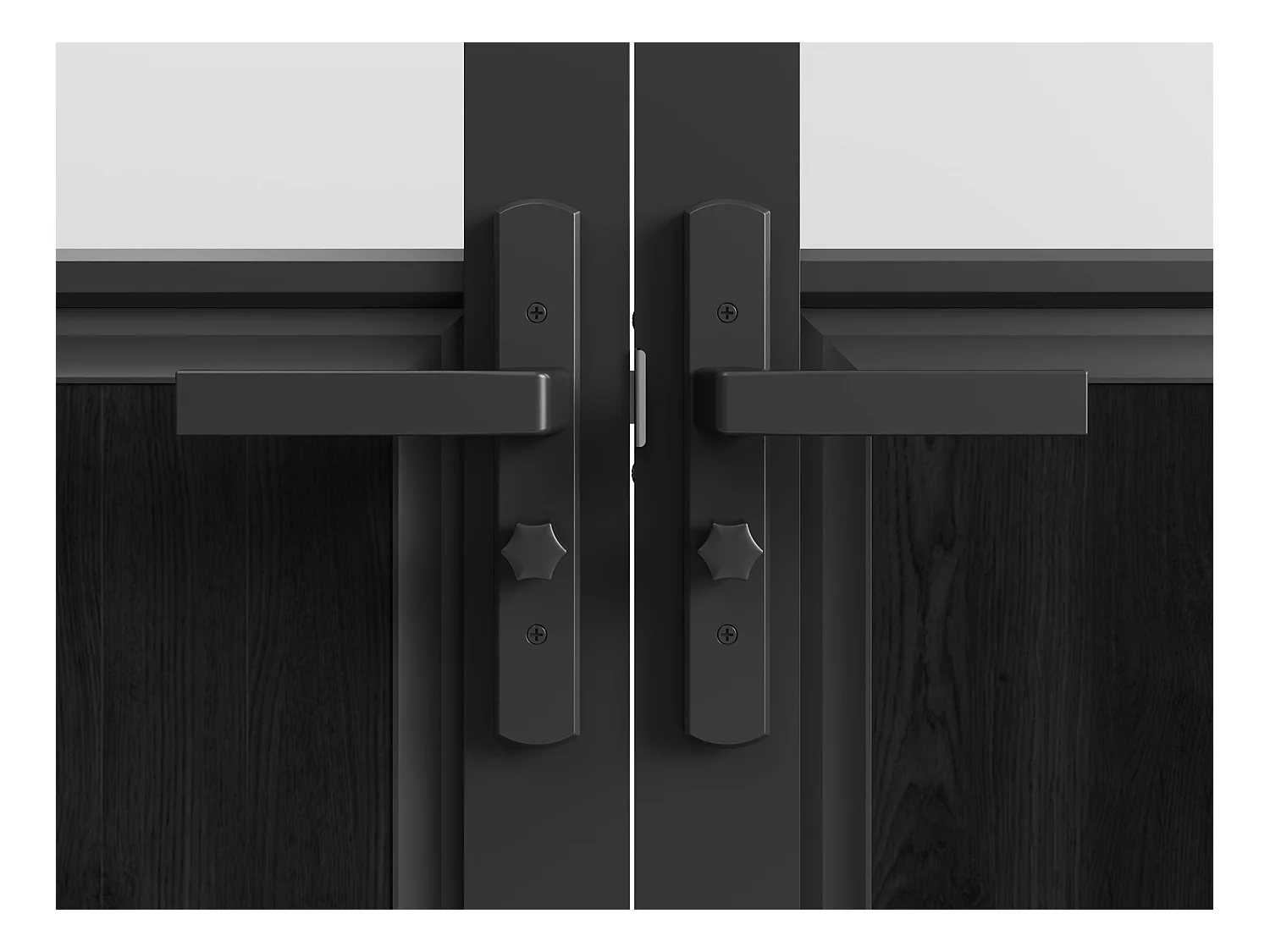 Bloc porte réversible à deux battants en aluminium et verre trempé dépoli style atelier - 2 x H204 x L73 cm - Noir - ERMELO