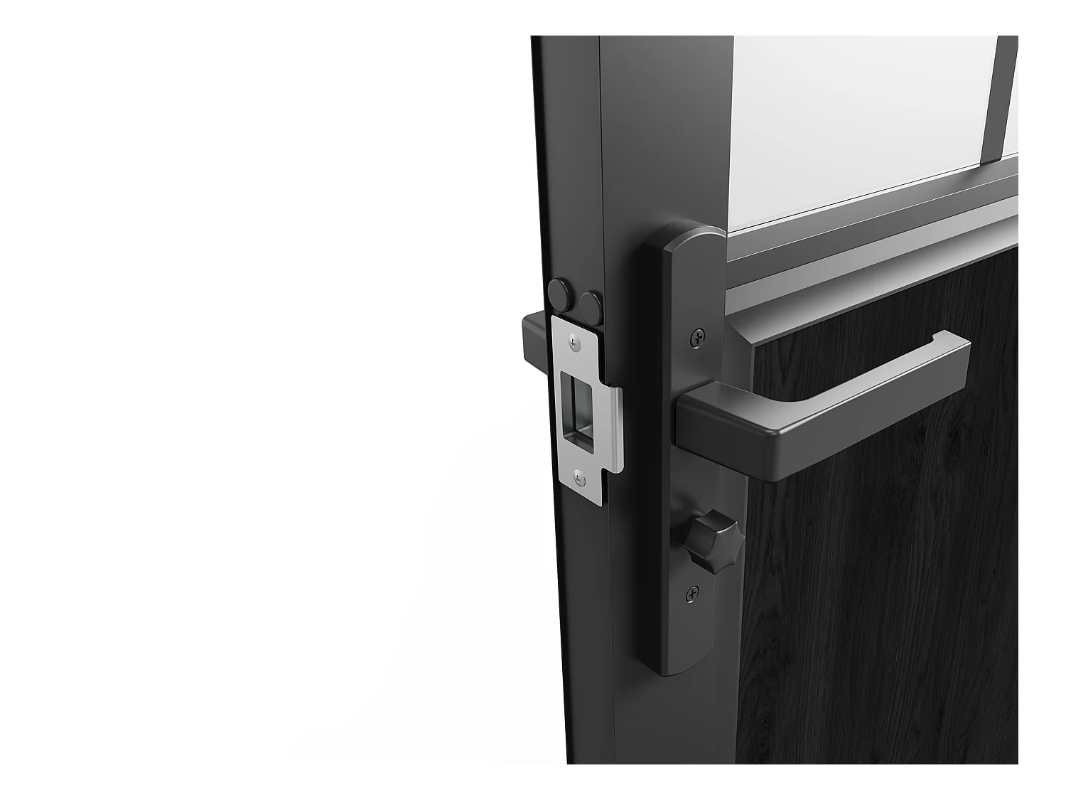 Bloc porte réversible à deux battants en aluminium et verre trempé dépoli style atelier - 2 x H204 x L73 cm - Noir - ERMELO