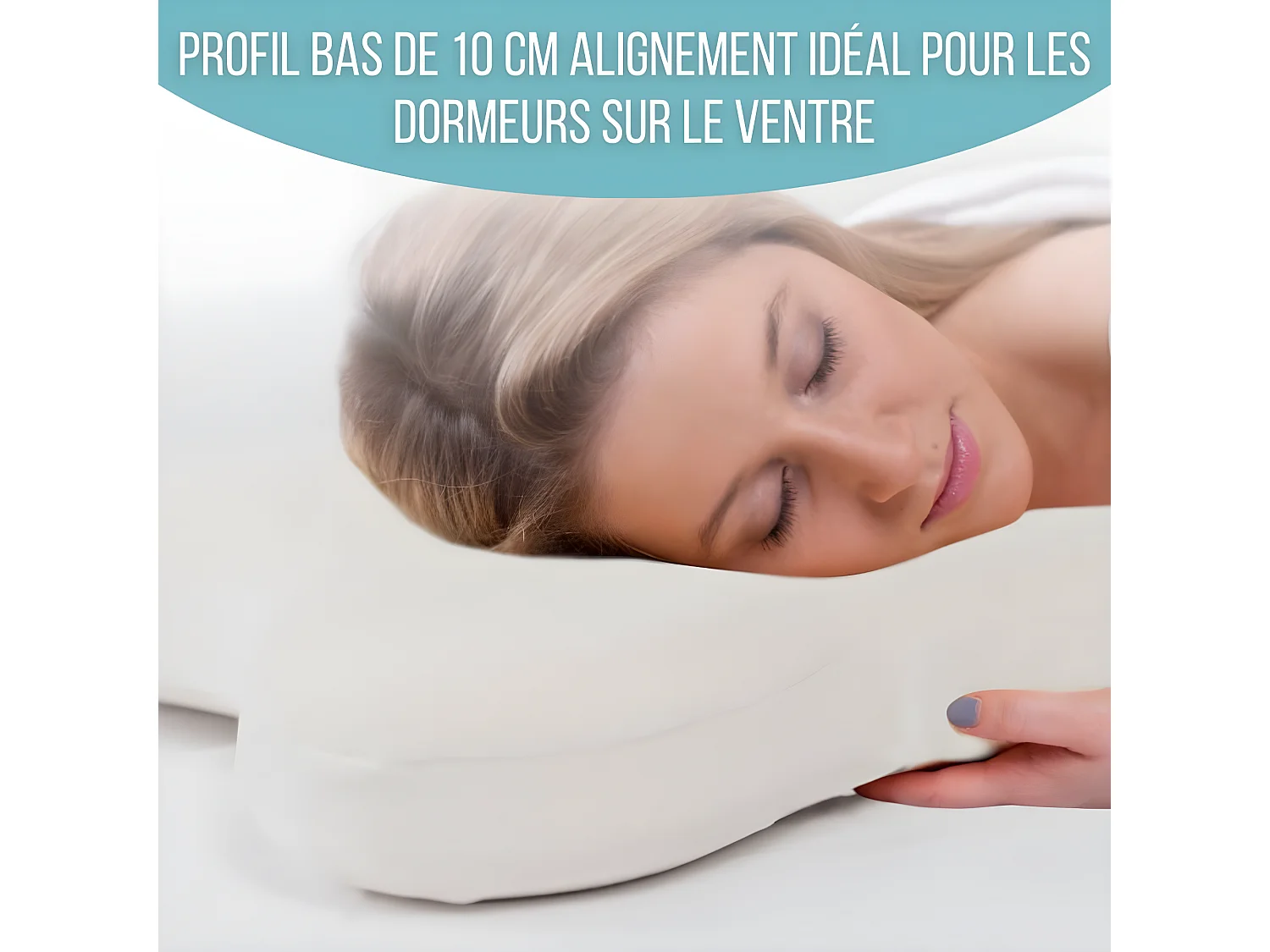 Oreiller Papillon Plat 56x46 Mémoire de Forme, Profil Bas 10 cm, Multiposition, Taie en Coton