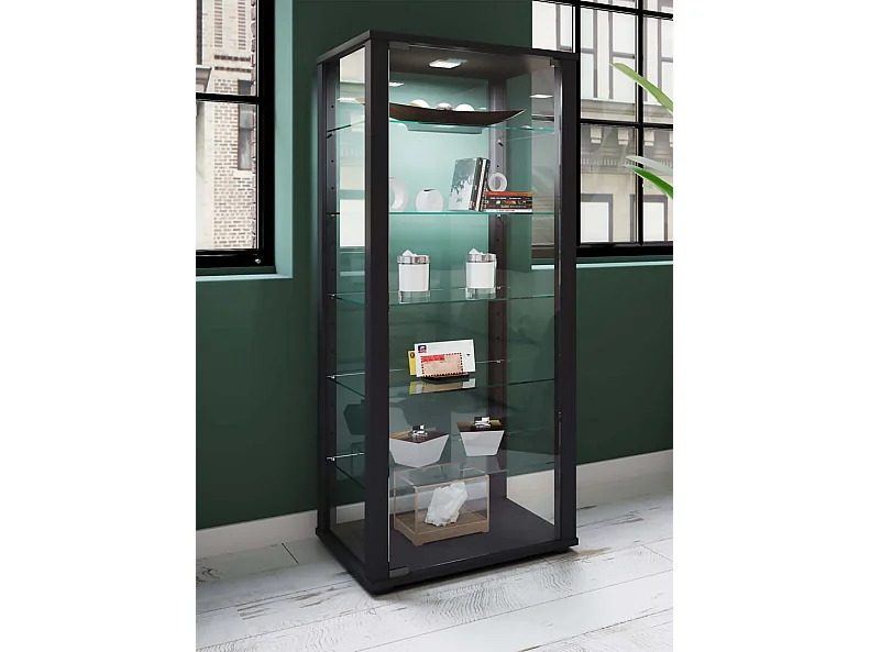 Holz Glas Stand Vitrine Sammelvitrine Kavisa L