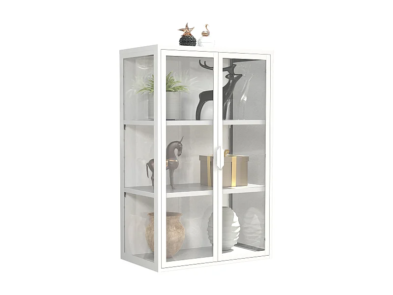 VCM acier vitrine murale vitrine suspendue vitrine en verre vitrine murale vitrine en verre 95x60x35 cm Floka L