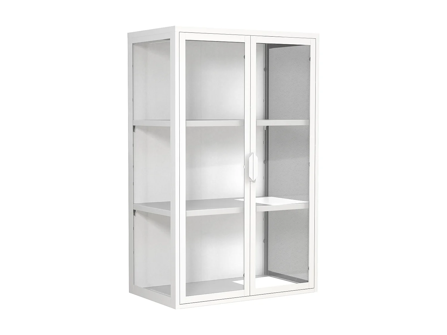 VCM acier vitrine murale vitrine suspendue vitrine en verre vitrine murale vitrine en verre 95x60x35 cm Floka L