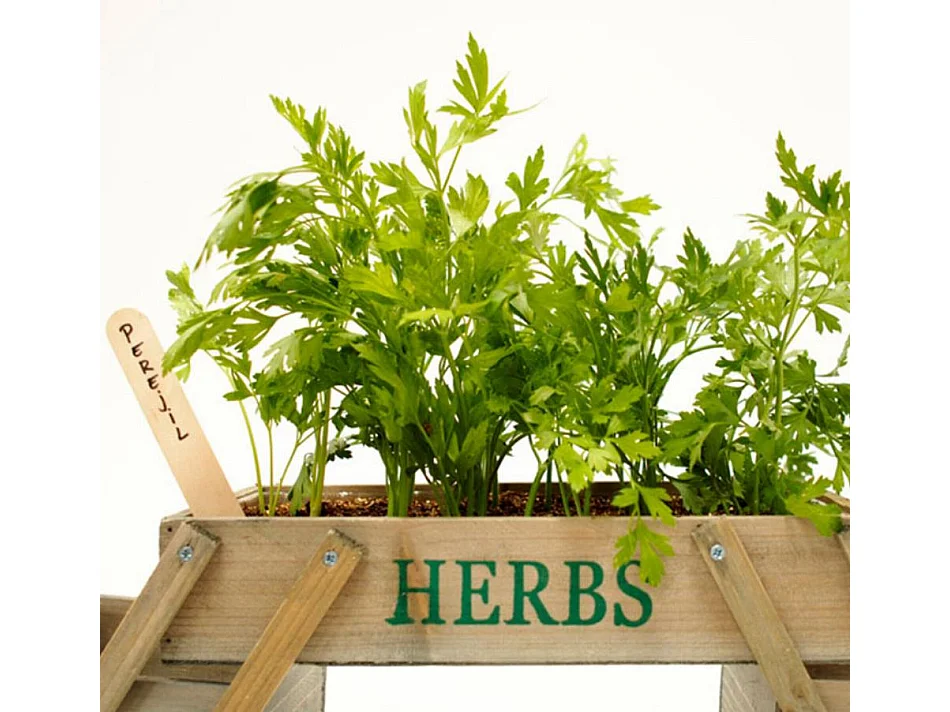 Mini jardin potager pour Cuisine ou Jardin en Coleur Chêne 71,5x15,5x18cm Huerta