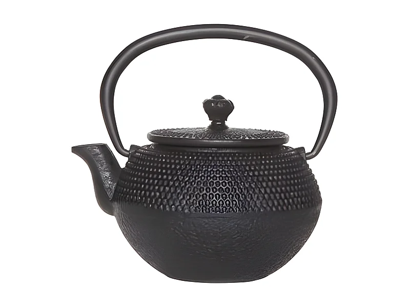 Takara Cabine Size Teekanne aus Gusseisen mit Filter, 0,35 L, schwarz