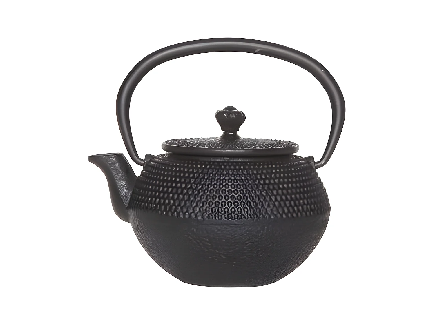 Théière en fonte Cabine Size Takara Black avec Filtre Tsp69 0.35 L Noir