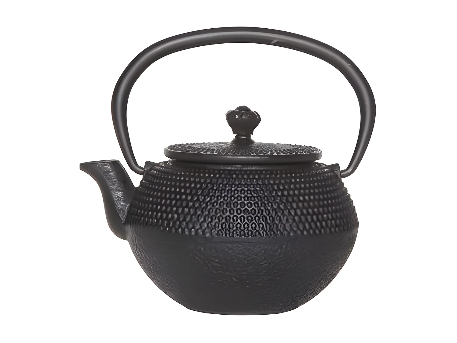 Takara Cabine Size Teekanne aus Gusseisen mit Filter, 0,35 L, schwarz