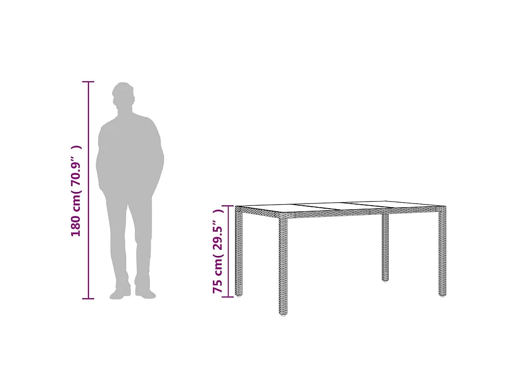 Giuseppe Luigi  Tavolo da Giardino Piano in Vetro Nero 150x90x75 cm Polyrattan