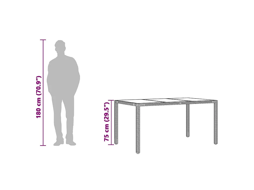 Michiel  Tuintafel met glazen blad 150x90x75 cm poly rattan zwart