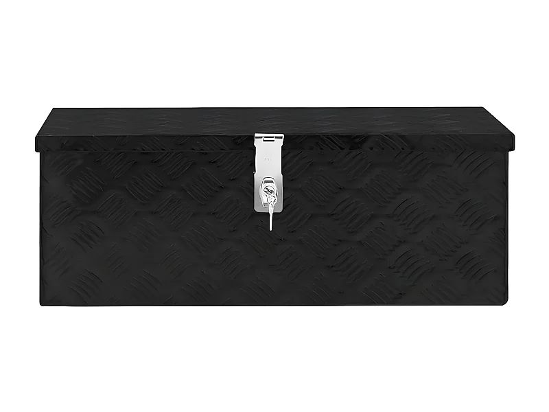 Prolenta Premium -  Opbergbox 70x31x27 cm aluminium zwart