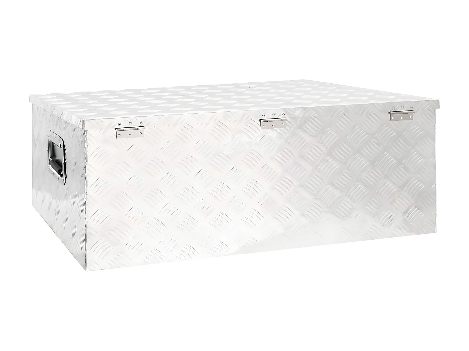 Prolenta Premium -  Boîte de rangement Argenté 100x55x37 cm Aluminium