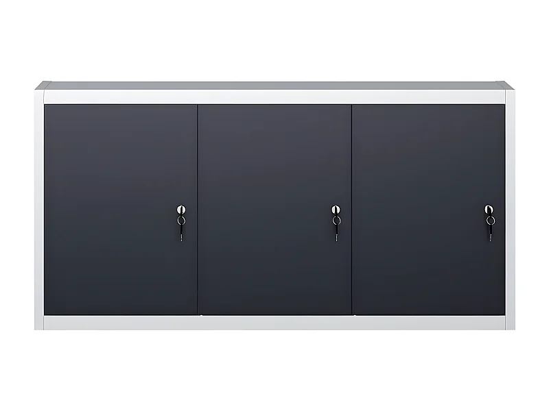 Prolenta Premium - Wand-Werkzeugschrank Industriedesign Metall Grau und Schwarz