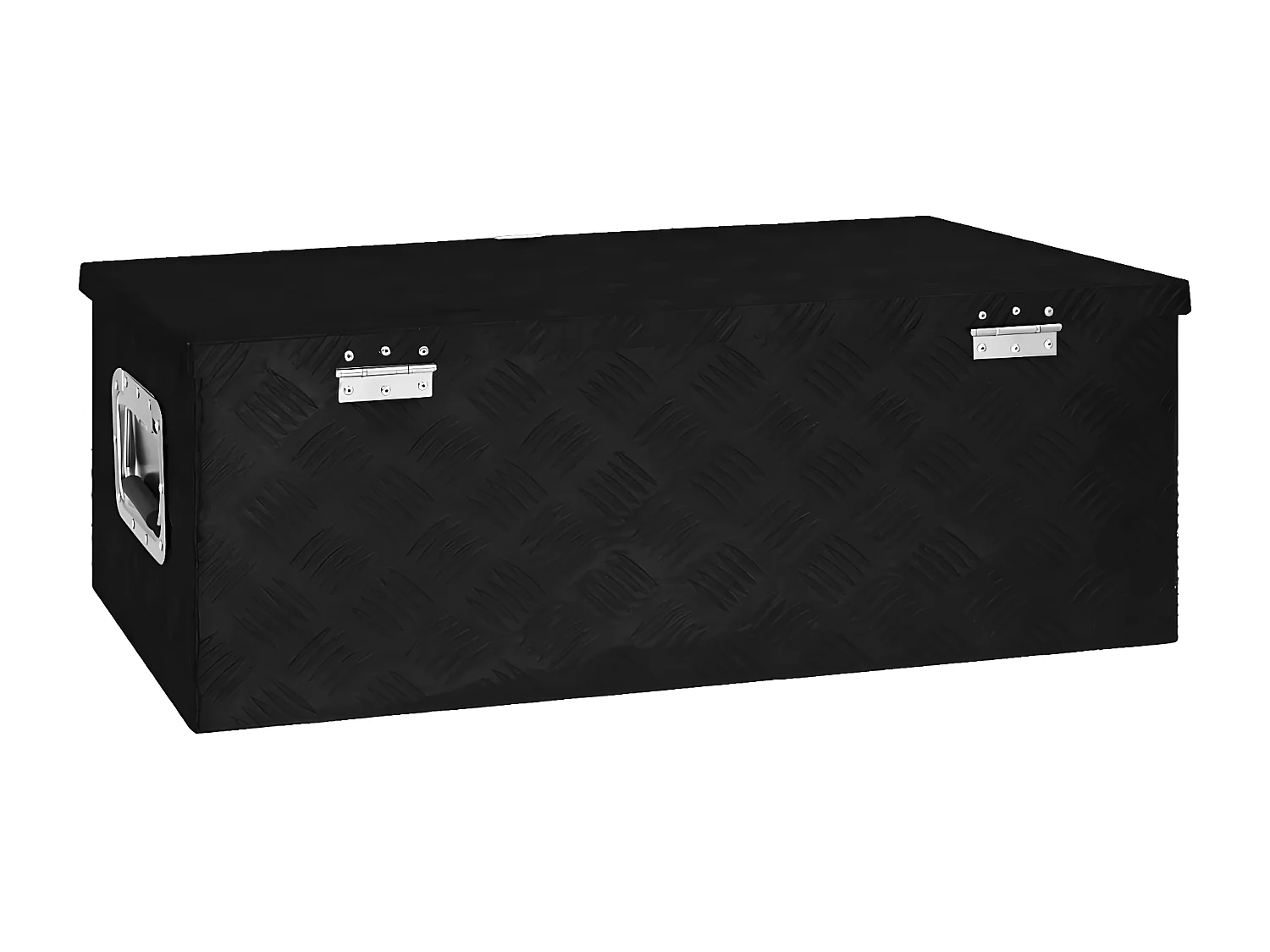 Prolenta Premium -  Opbergbox 80x39x30 cm aluminium zwart