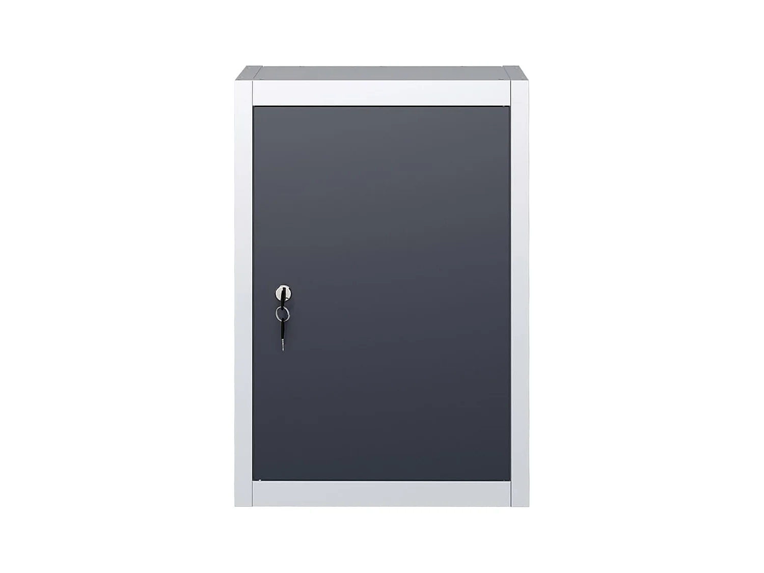 Prolenta Premium -  Armoire à outils murale Style Industriel Métal Gris et noir