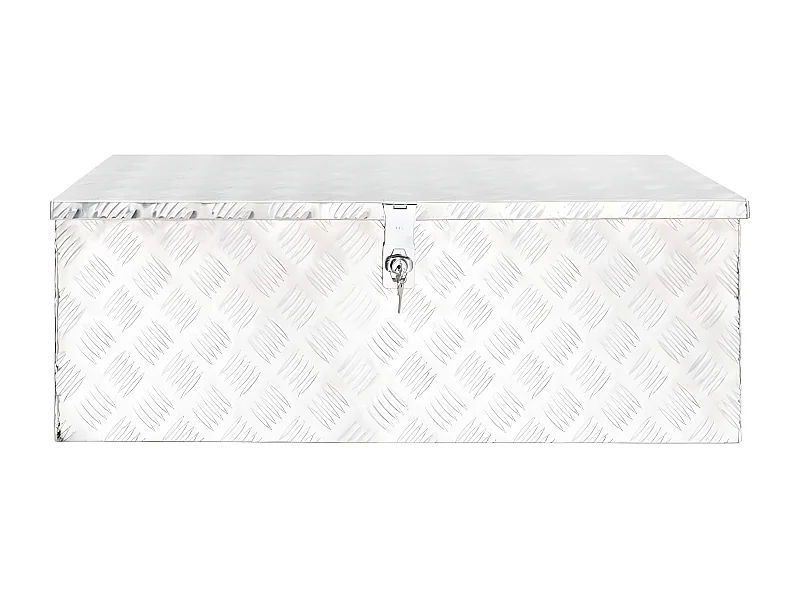 Prolenta Premium -  Contenitore Portaoggetti Argento 90x47x33,5 cm in Alluminio