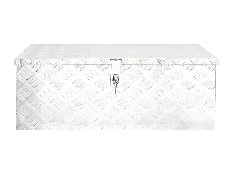 Prolenta Premium -  Boîte de rangement Argenté 80x39x30 cm Aluminium
