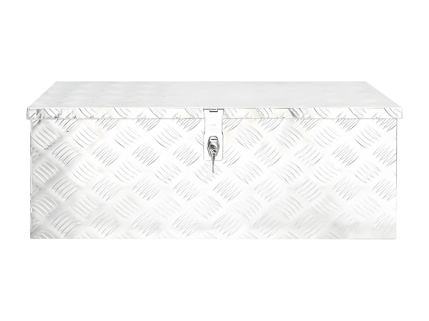 Prolenta Premium -  Boîte de rangement Argenté 80x39x30 cm Aluminium