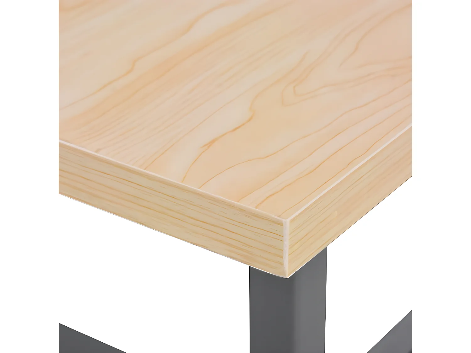 Prolenta Premium -  Établi Gris 120x60x85 cm Acier