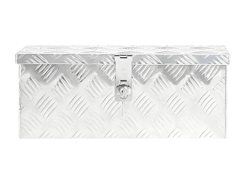Prolenta Premium -  Boîte de rangement Argenté 50x15x20,5 cm Aluminium
