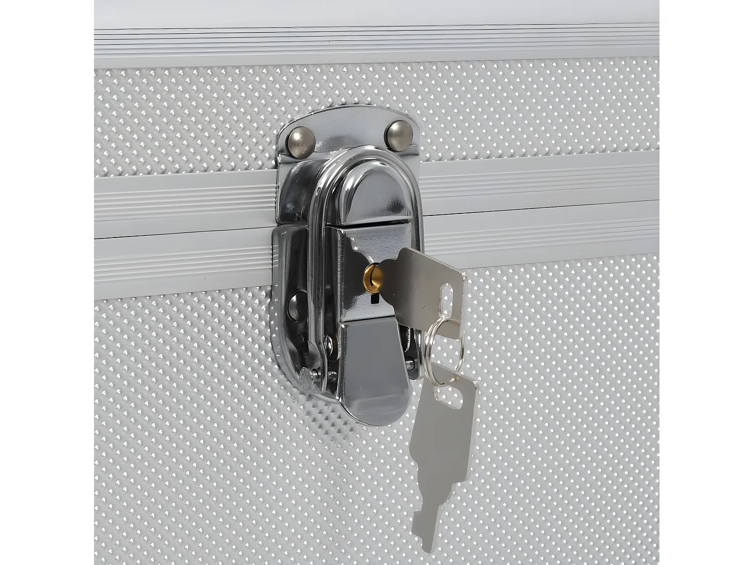 Prolenta Premium -  Boîtes de rangement 2 pcs Argenté Aluminium