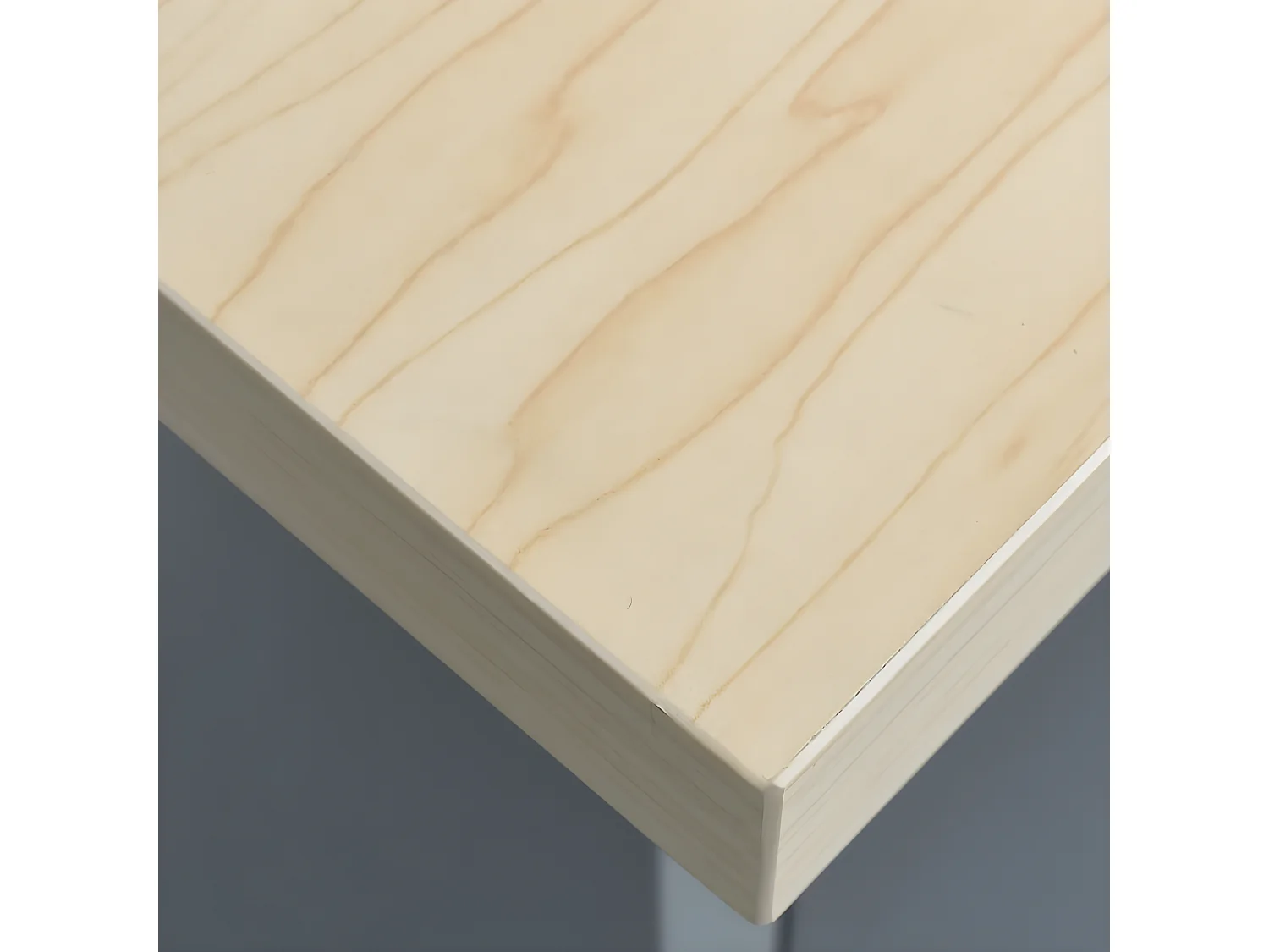 Prolenta Premium -  Banco da Lavoro Nero 120x60x85 cm in Acciaio