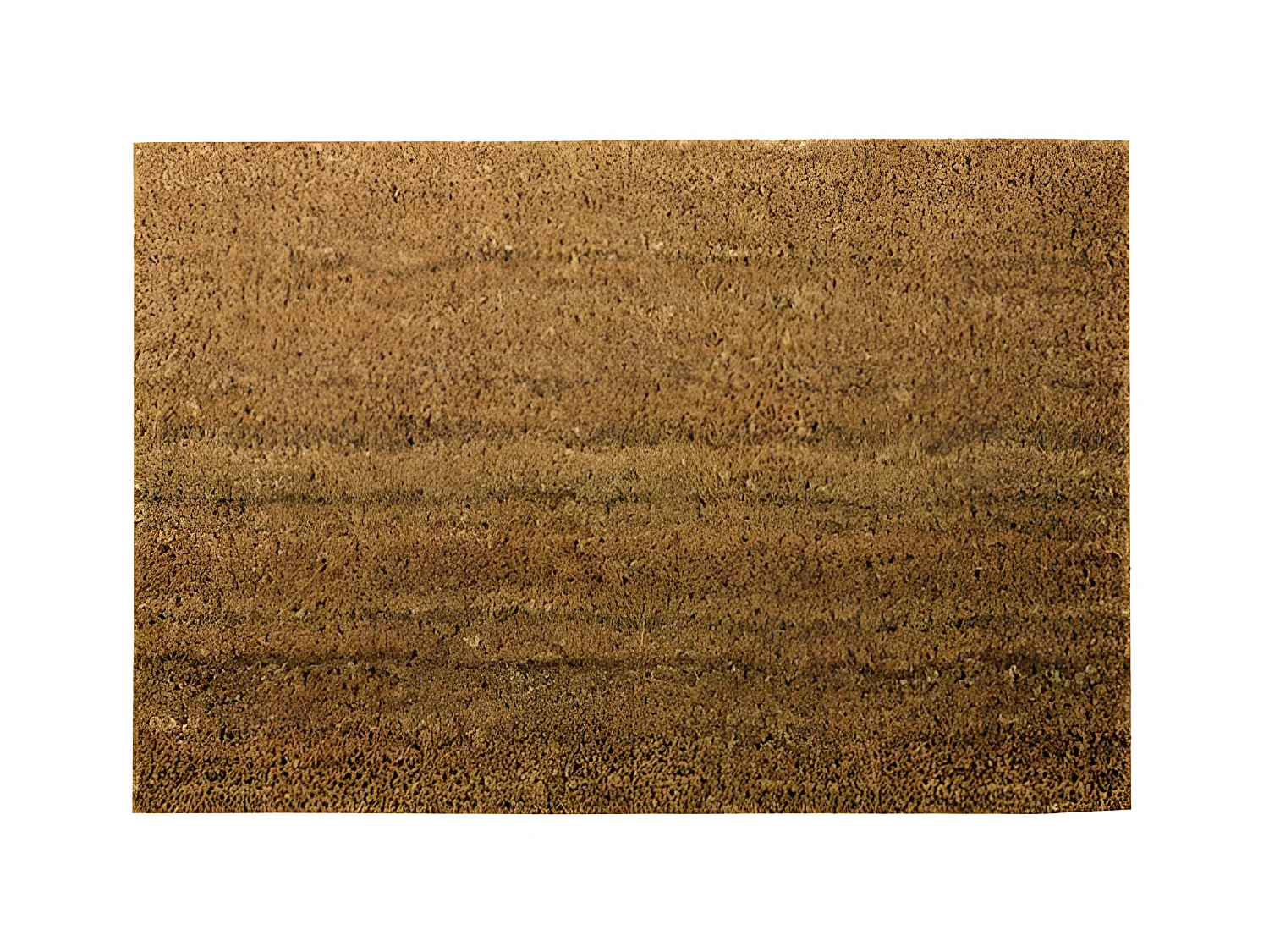Tapis en fibres de coco naturelles 40x60 cm avec semelle en PVC