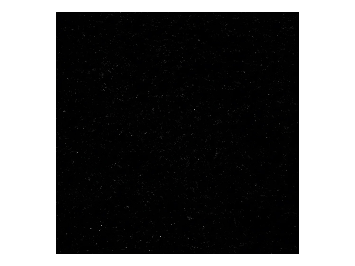 Tapis de Salle de Bain "Réversible" 50x80cm Noir