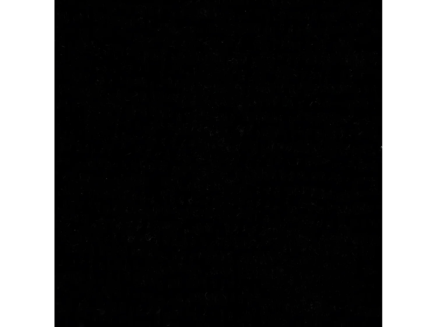 Tapis de Salle de Bain "Réversible" 50x80cm Noir