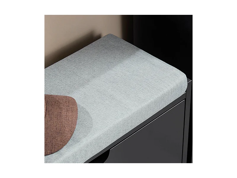 SoBuy Banc Chaussures, Rangement pour Chaussures, Armoire à Chaussures, Meuble d'entrée, Coffre avec 1 Abattants et 1 Coussin, Noir, L60xP24xH52 cm, FSR151-K-SCH