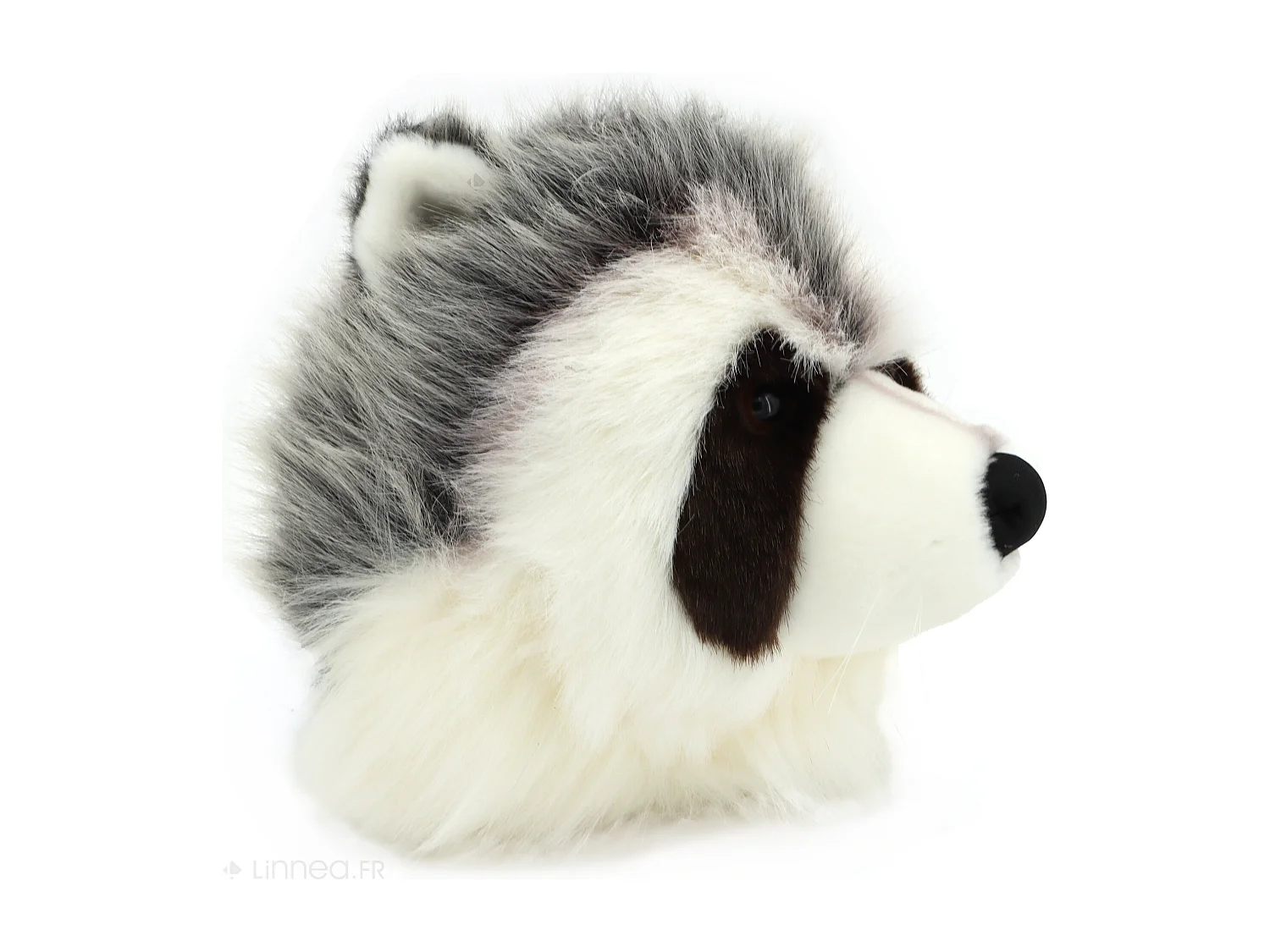 Peluche trophée raton laveur Josh en polyester collection Forêt