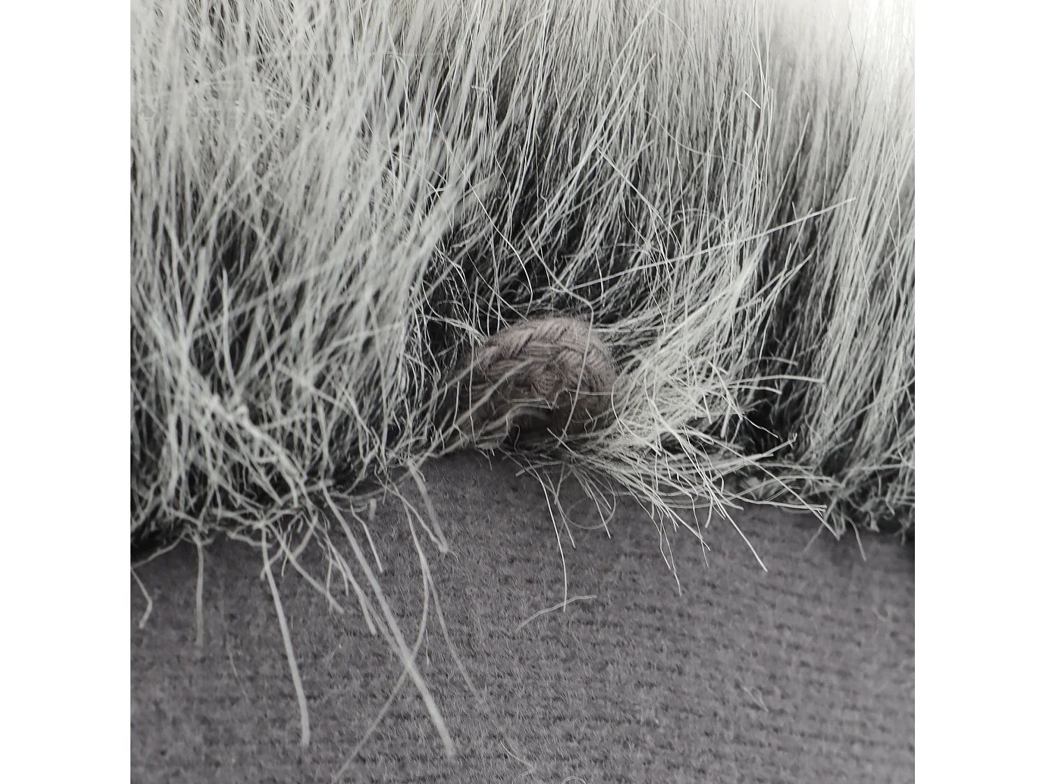 Peluche trophée raton laveur Josh en polyester collection Forêt