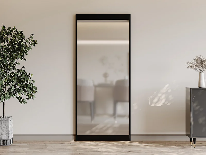 Porte coulissante avec rail invisible -  aluminium et verre trempé dépoli - 93 x 210 cm - TORIPA