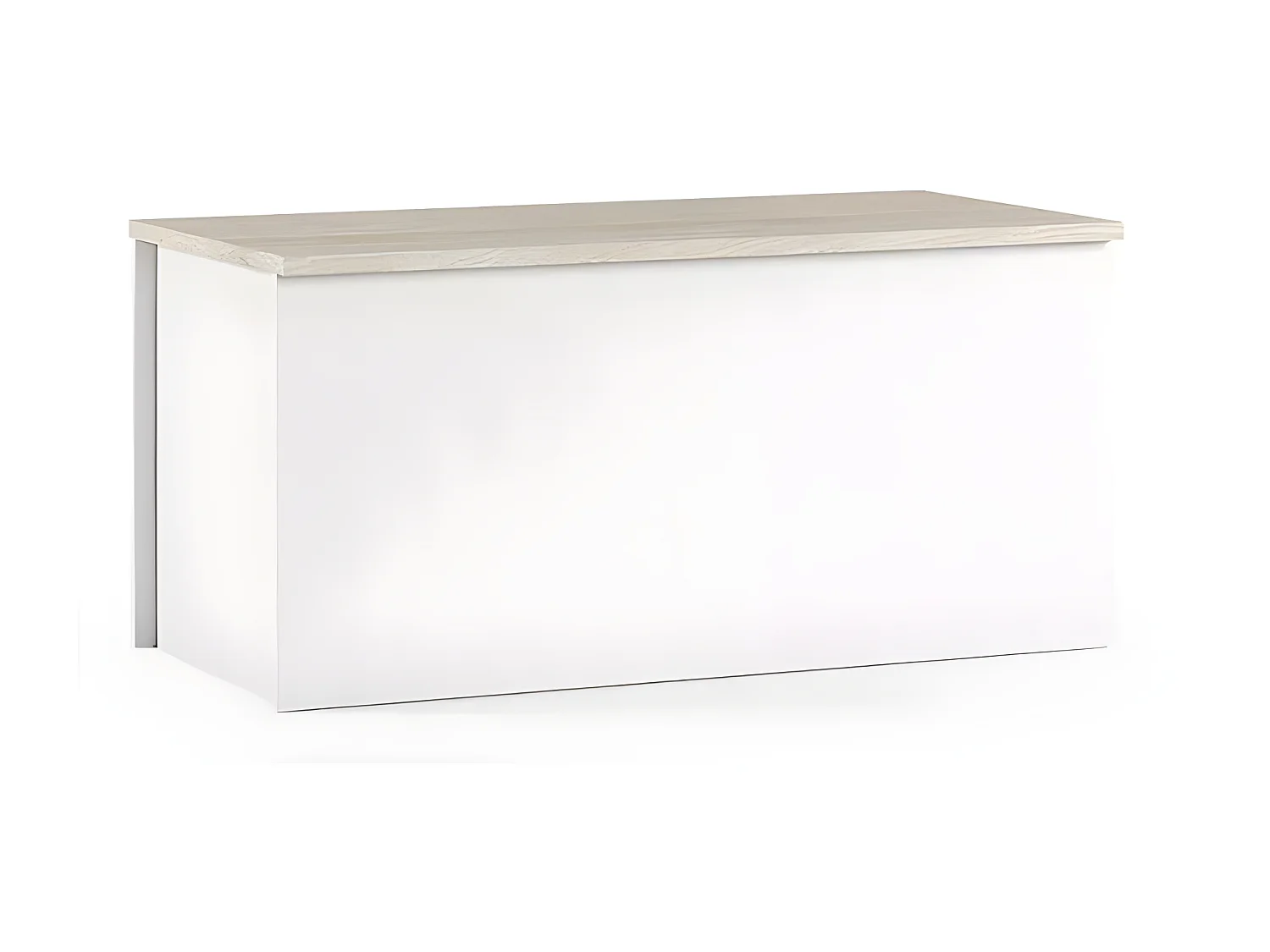 Banco baúl para contenedor de almacenamiento de entrada salón