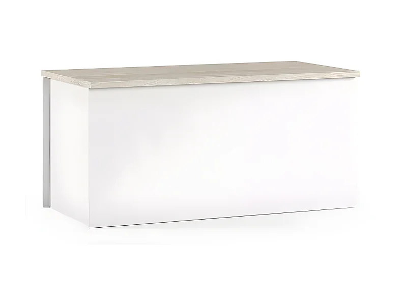 Banco baúl para contenedor de almacenamiento de entrada salón