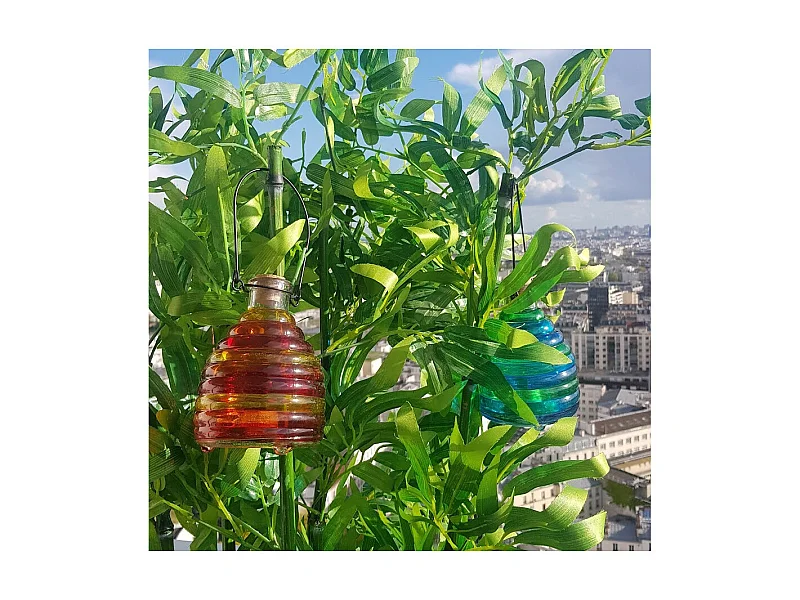 Lot de 2 pièges à guêpes en verre coloré