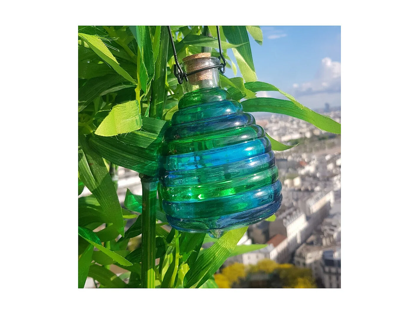 Lot de 2 pièges à guêpes en verre coloré