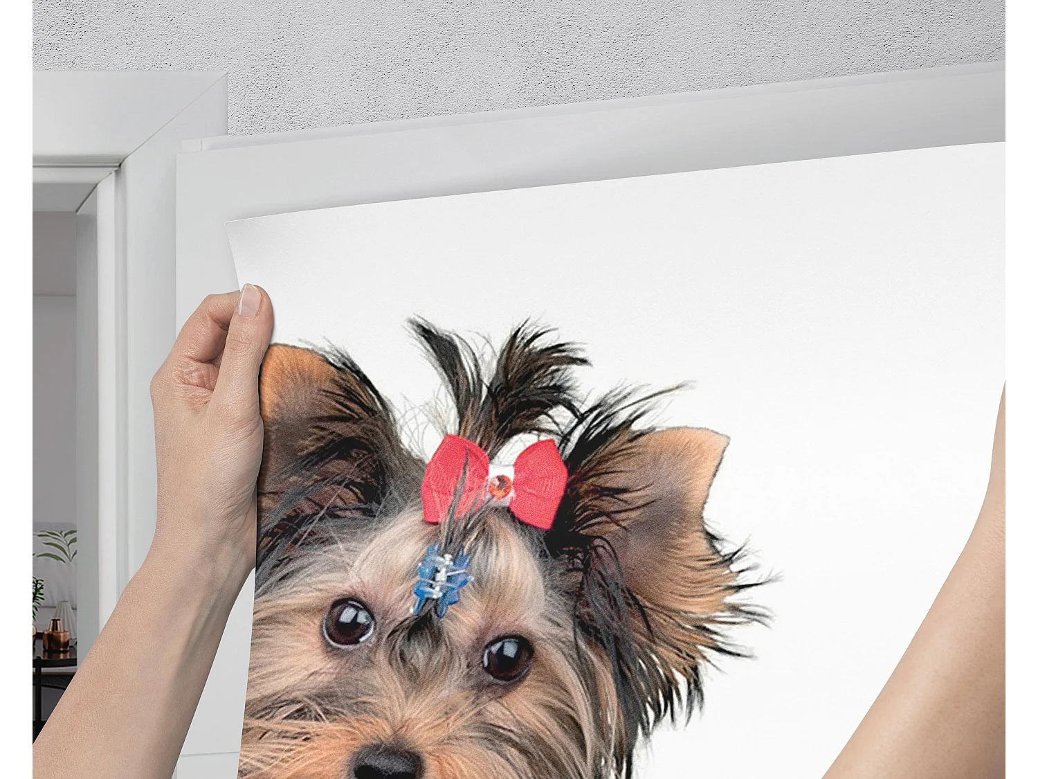 Selbstklebende Türaufkleber - Drei Hunde zusammen 75x205 cm