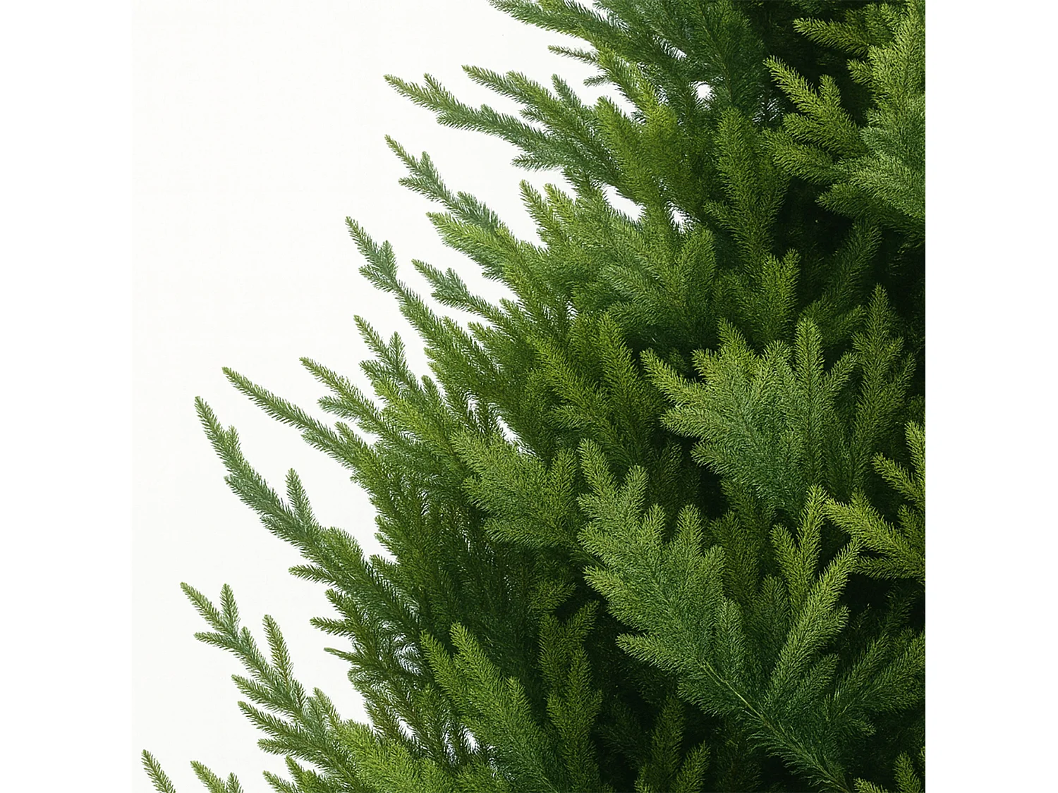 Rockefeller - Albero di Natale effetto realistico in PE e PVC ø183x240H, 3384 Punte