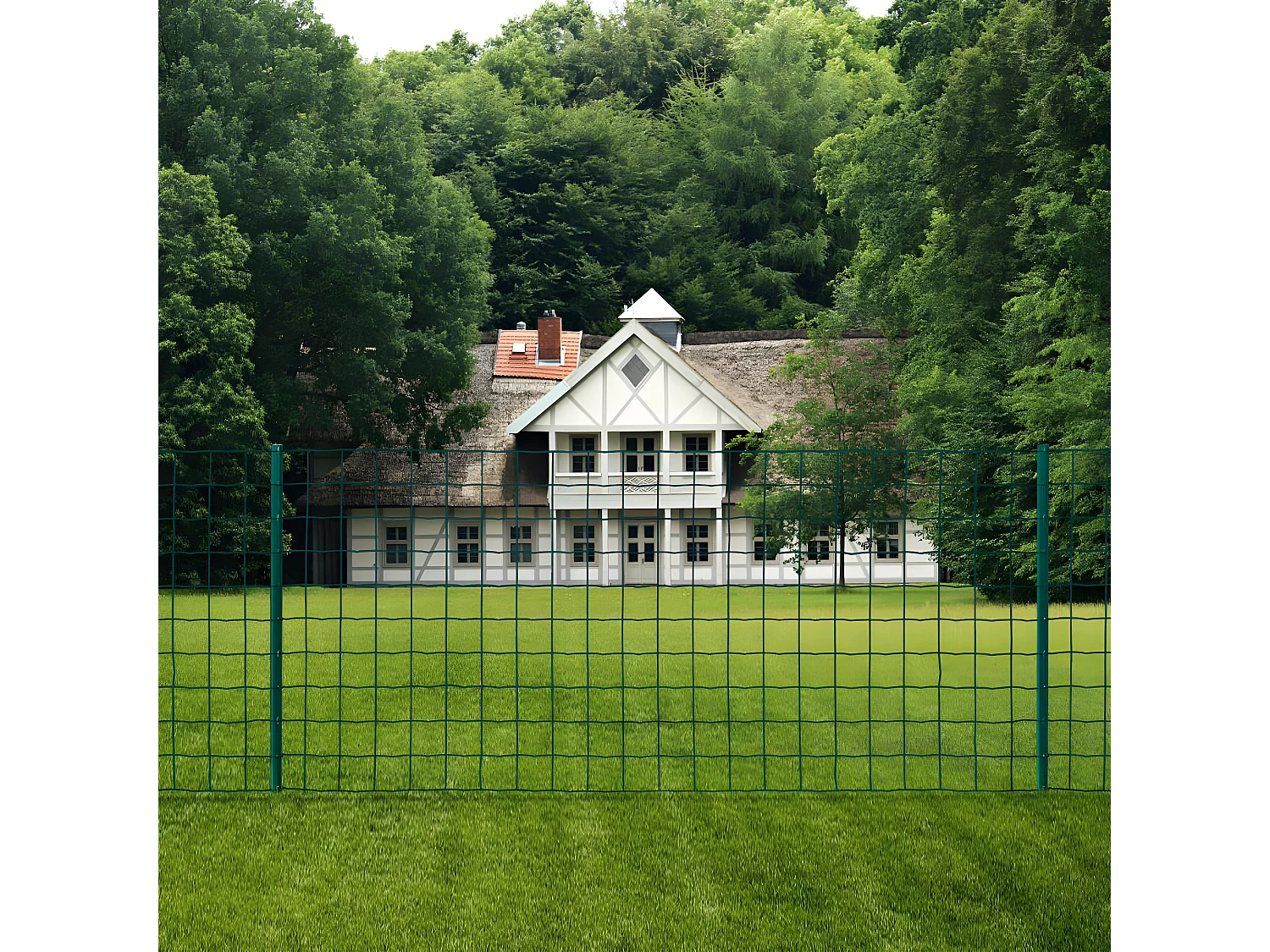 Clôture Euro Acier 20x1 m Vert