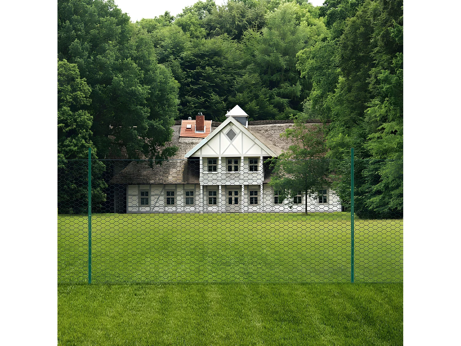 Clôture en grillage métallique avec poteaux Acier 25x2 m Vert 3