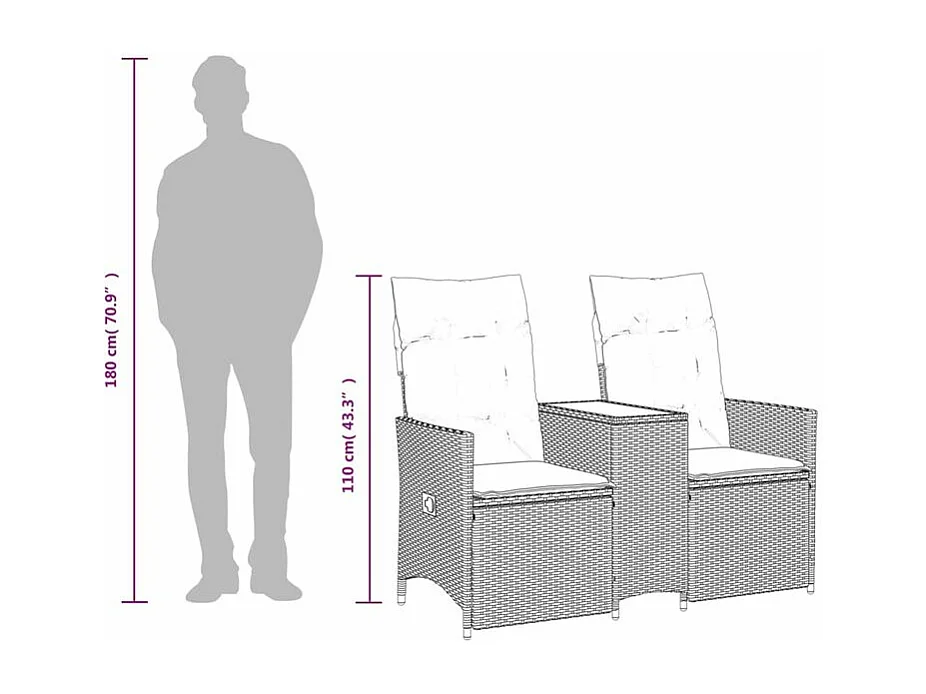 Canapé de jardin inclinable 2 places avec table gris poly rotin
