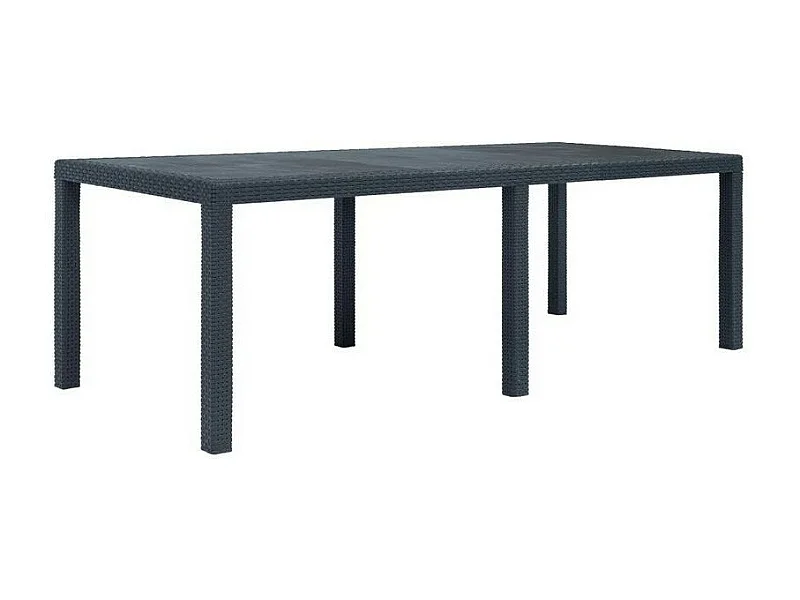 Table de jardin plastique anthracite Terdi 220cm