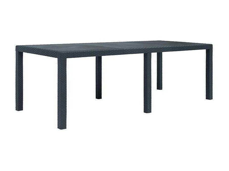 Table de jardin plastique anthracite Terdi 220cm
