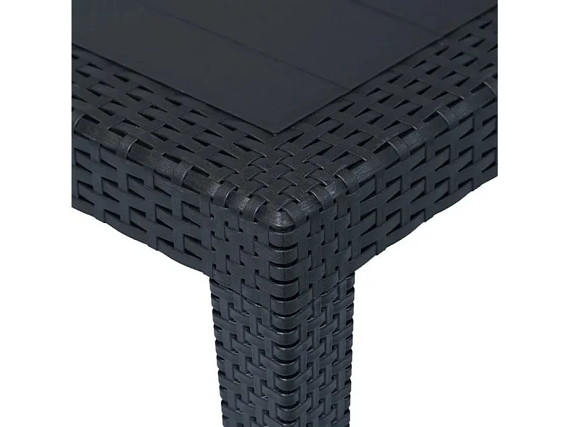 Table de jardin plastique anthracite Terdi 220cm